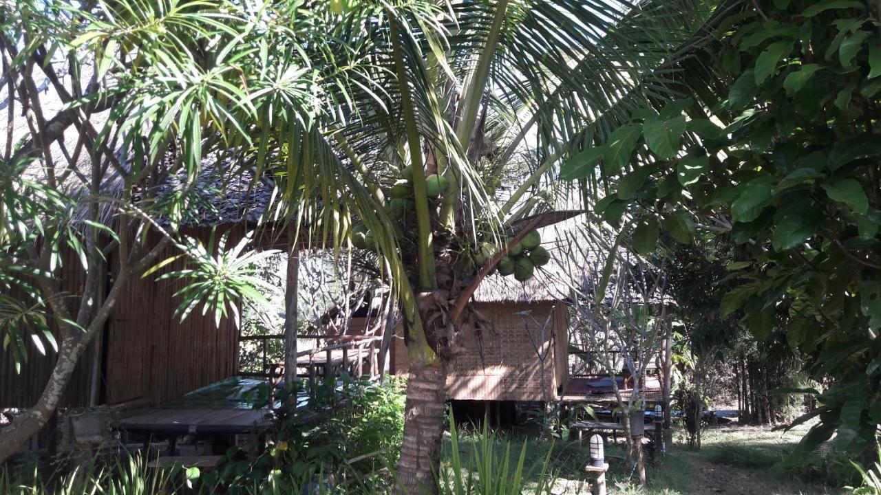 Nusha Homestay Pai Exterior photo
