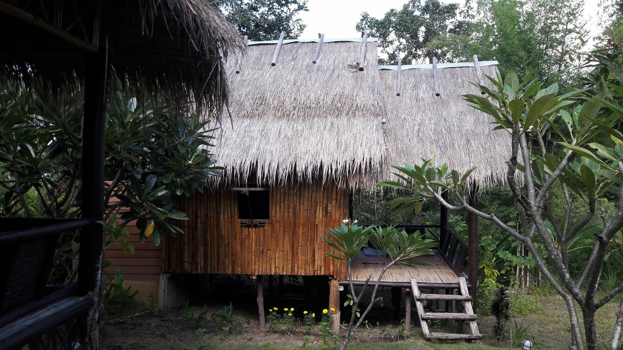 Nusha Homestay Pai Exterior photo